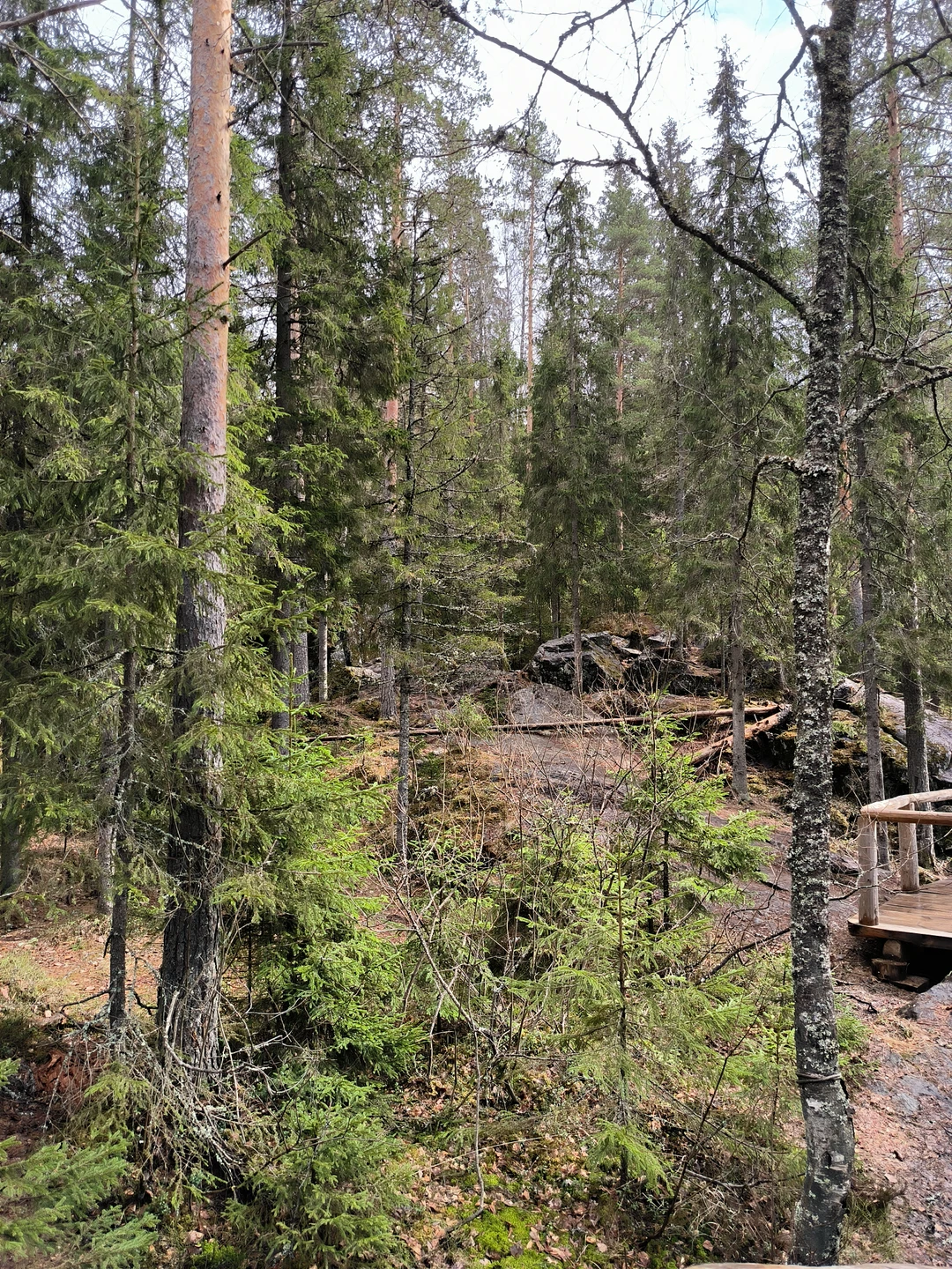 Шесть экскурсий за два дня. Не для тех, кто хочет посидеть спокойно в номере. Нам всё