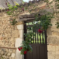 Фото отзыва 3: экскурсия "Винные реки, сырные берега"