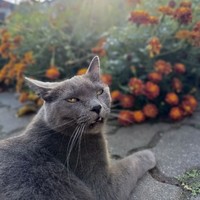 Фото отзыва 1: экскурсия "В гостях у винодела (в группе)"