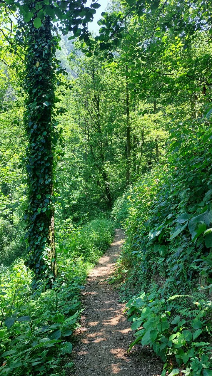 Отличное путешествие, прекрасно провели время. Федор настоящий профессионал своего дела, всем рекомендую👍👍👍