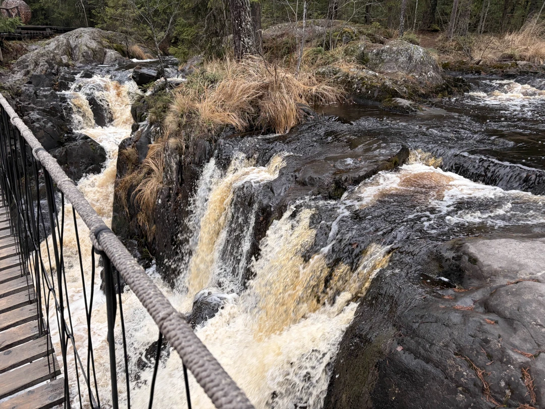 Выезд ранним утром, возвращение около 23 часов, прекрасно все, кроме посещения сувенирок за 15-20 минут - не успеть, либо хватать что попадается