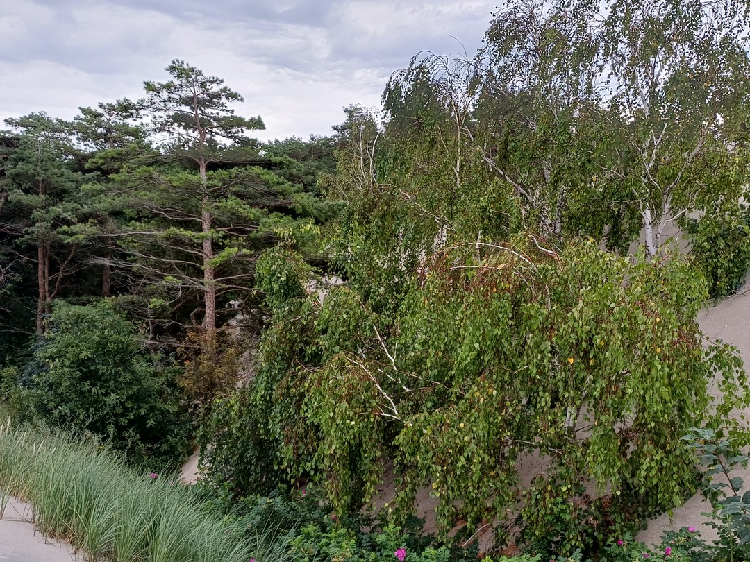 Балтийск и Балтийская коса на автомобиле: бетонные бункеры и нетронутая природа (Татьяна)