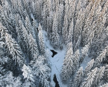 Сортавала, интерактивная программа с Дедом Морозом, водопады Ахвенкоски, горный парк «Рускеала»