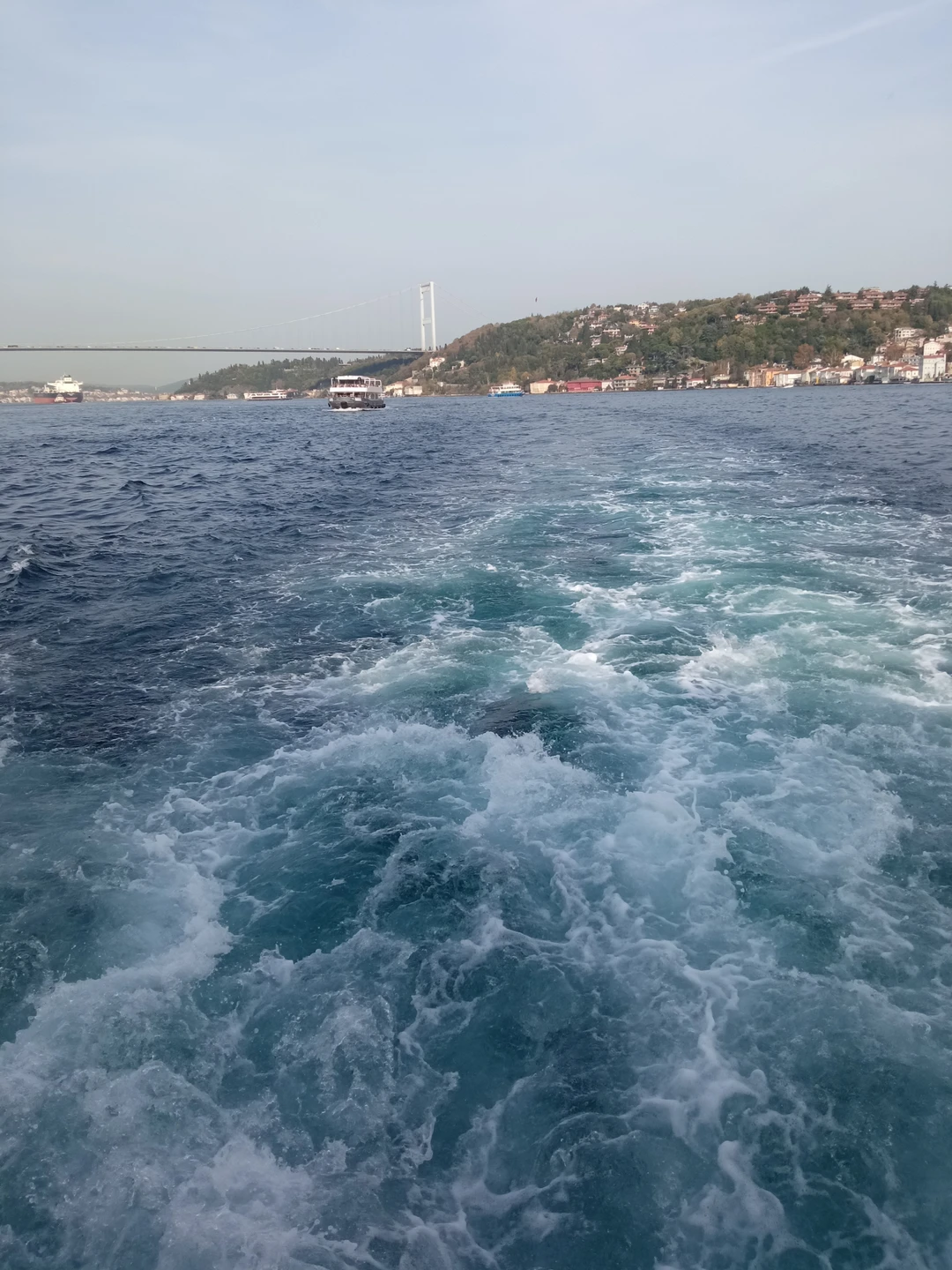 У нас был транзит в Стамбуле 12 часов, после ночного перелёта хотели посмотреть Стамбул, но чтобы