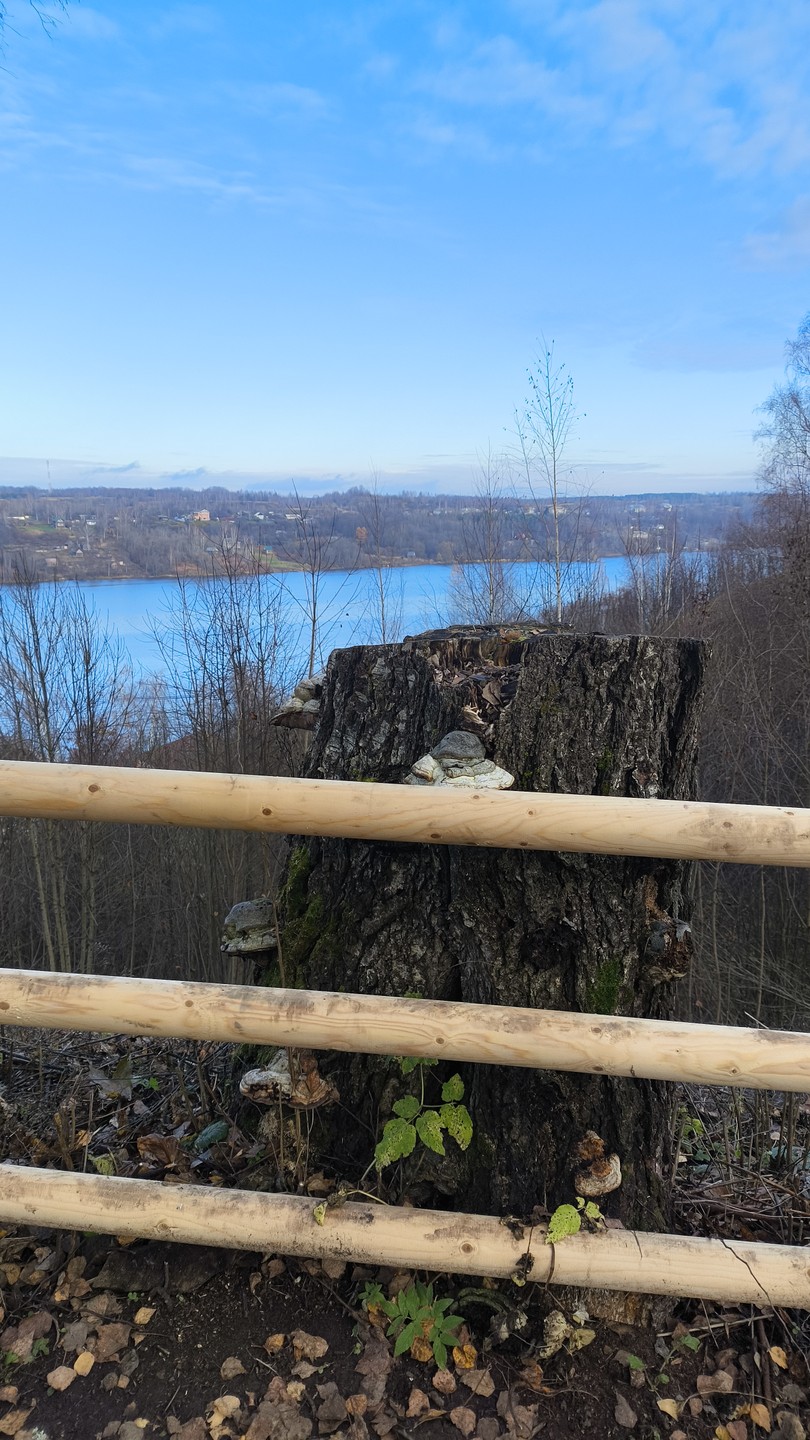 Город из-под кисти художника: групповая экскурсия в Плёс (Мария)