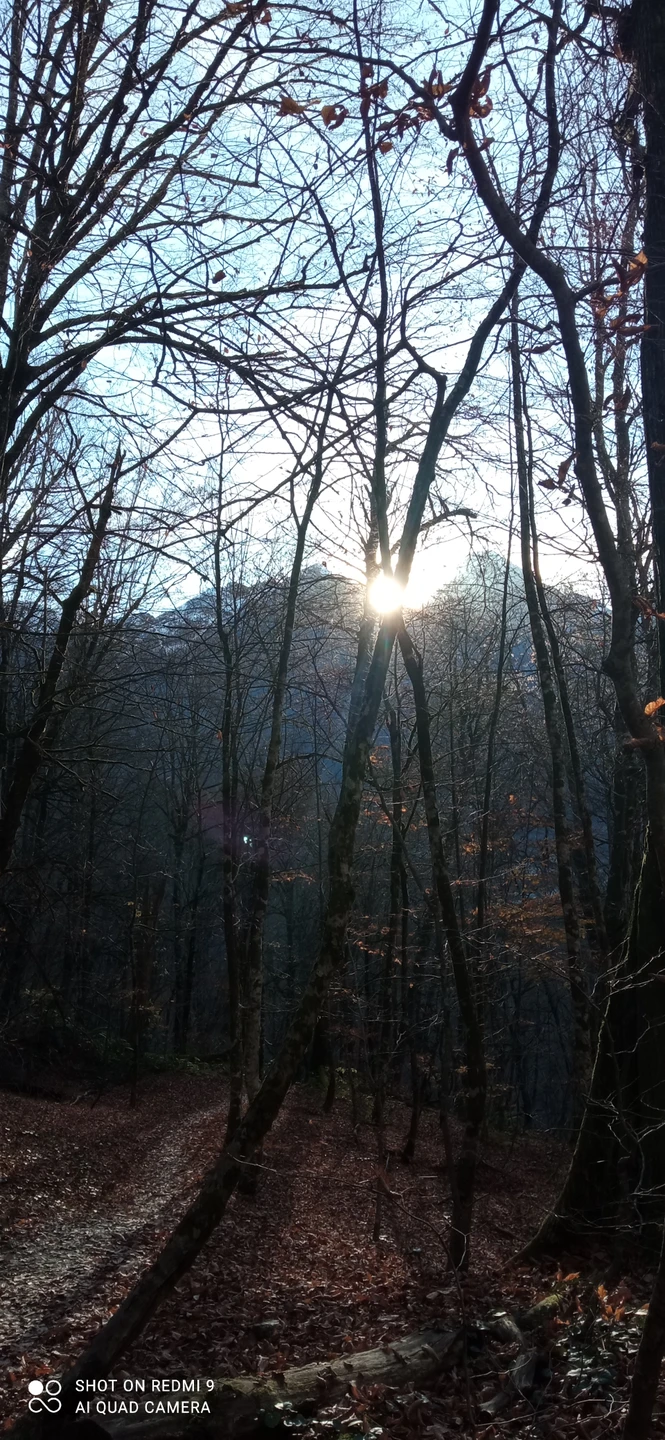 Хочется поблагодарить за увлекательную экскурсию отличного гида Марину с предельно аккуратным водителем. Все соответствовало ожиданиям и