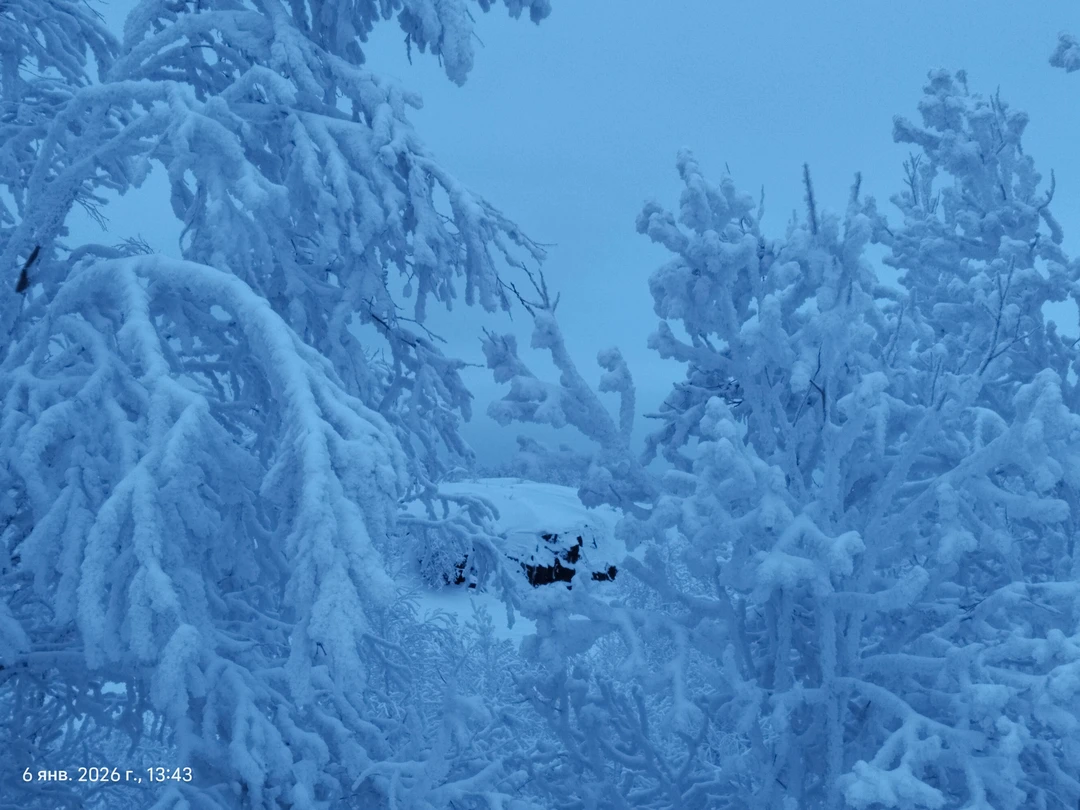 Большое спасибо за интересную экскурсию! Посмотрели все основные точки за раз. При этом гид рассказывал интересные
