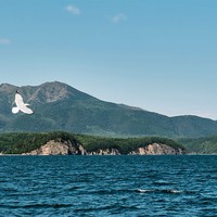 Самые известные и&nbsp;живописные национальные парки России