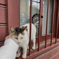 Фото отзыва 1: экскурсия "Любовь к Стамбулу со второго взгляда"