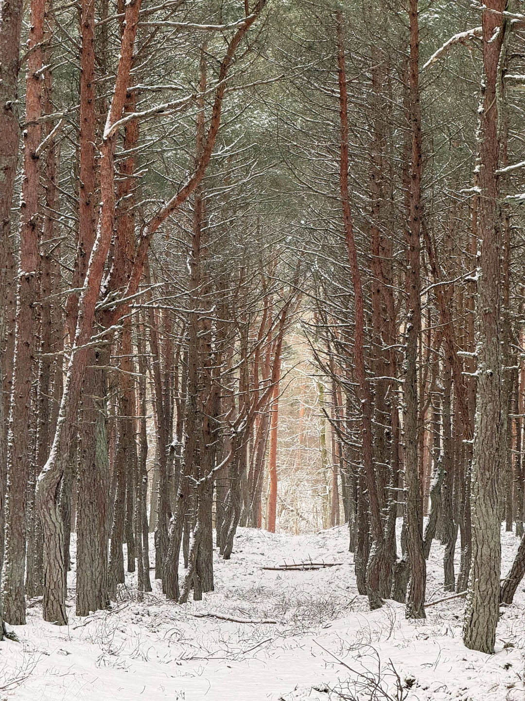 Огромная благодарность Александре за такой чудесный, интересный и насыщенный день 👍