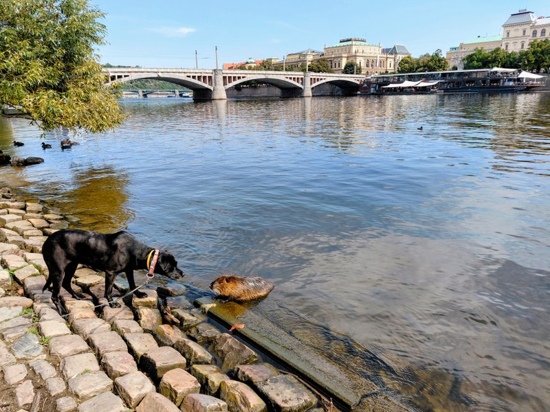 Пакет экскурсий: Прага и не только