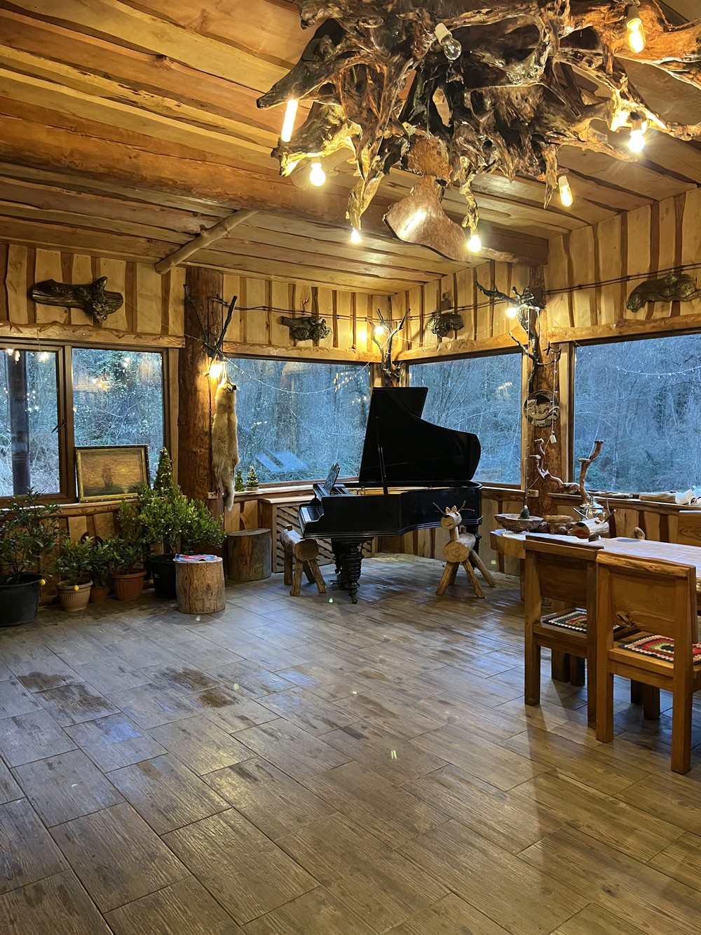 Из Сочи — на экоферму, винодельни и чайные плантации (9/10)