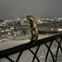 Фото отзыва 1: экскурсия "Огни большого города: групповая экскурсия по вечернему Красноярску"
