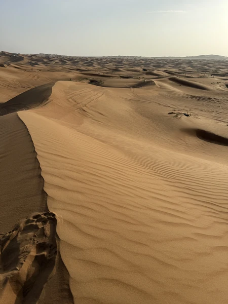 Сафари в Дубае: магия заката в пустыне без кемпов и шоу-программ (Даша)