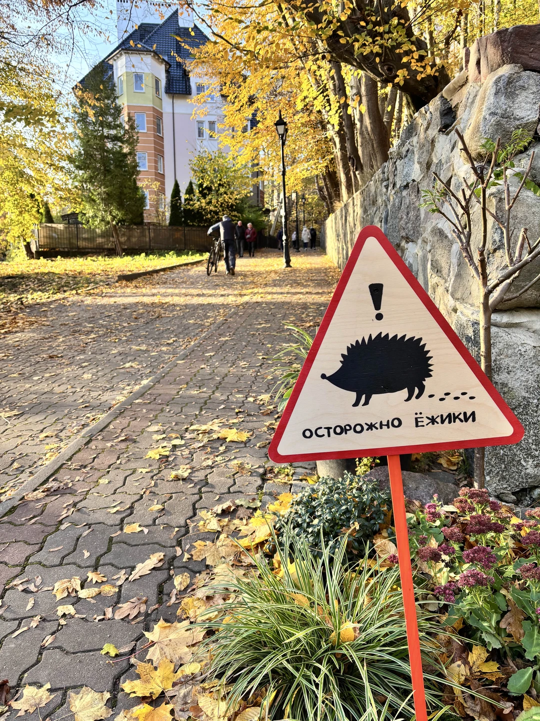 Экскурсия насыщенная но в самом Светлогорске очень мало времени, поэтому мой совет не слушайте гида его