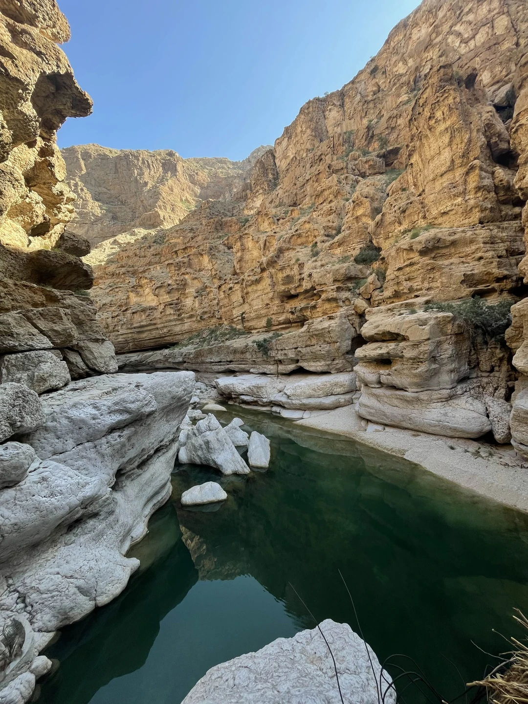 Поездка в сказочный оазис - Вади-Шаб (Карина)