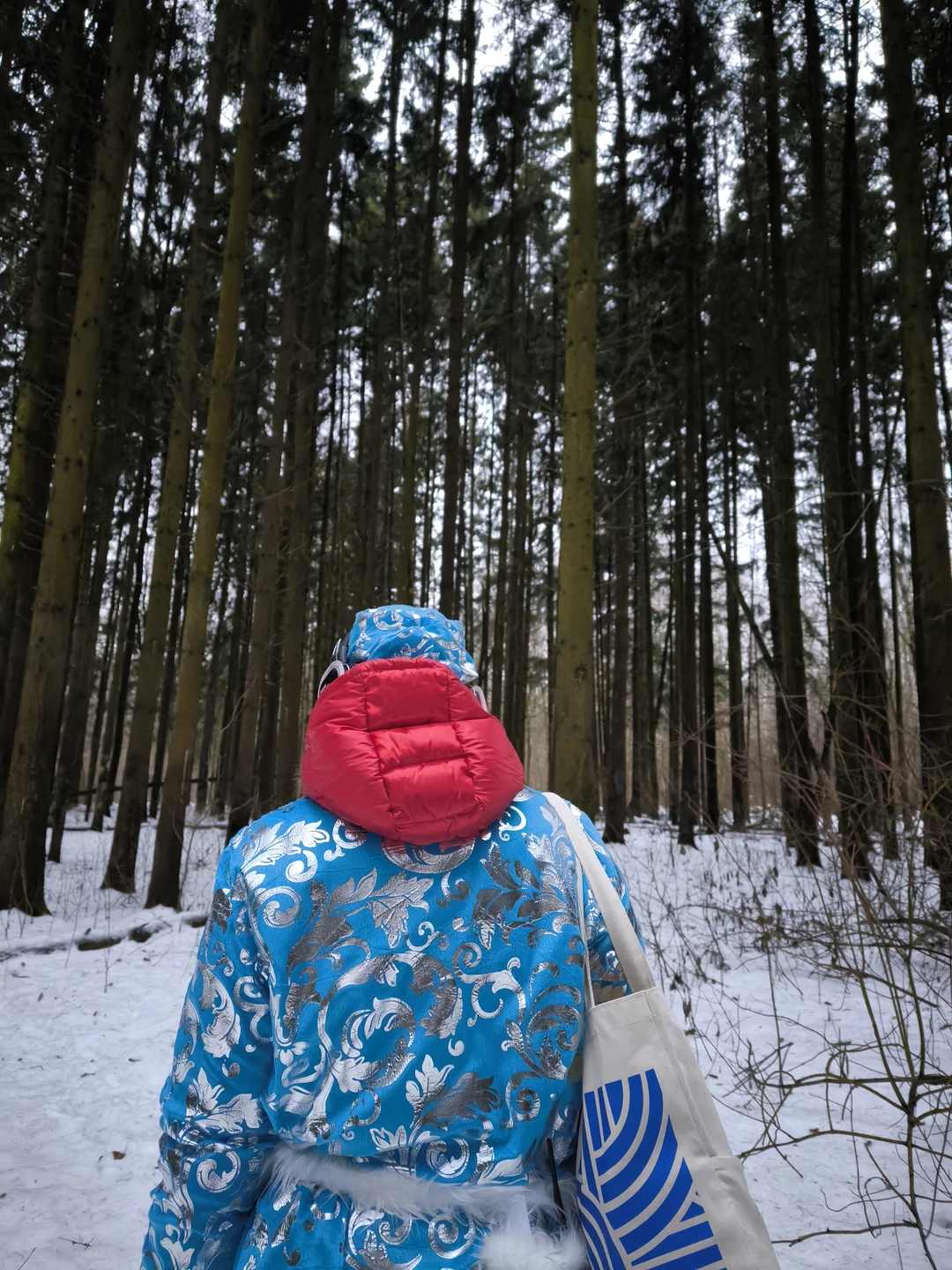 Прогулка по лесу очень понравилась. Представление захватывающее и интересное. По времени очень комфортно в зимнее время.