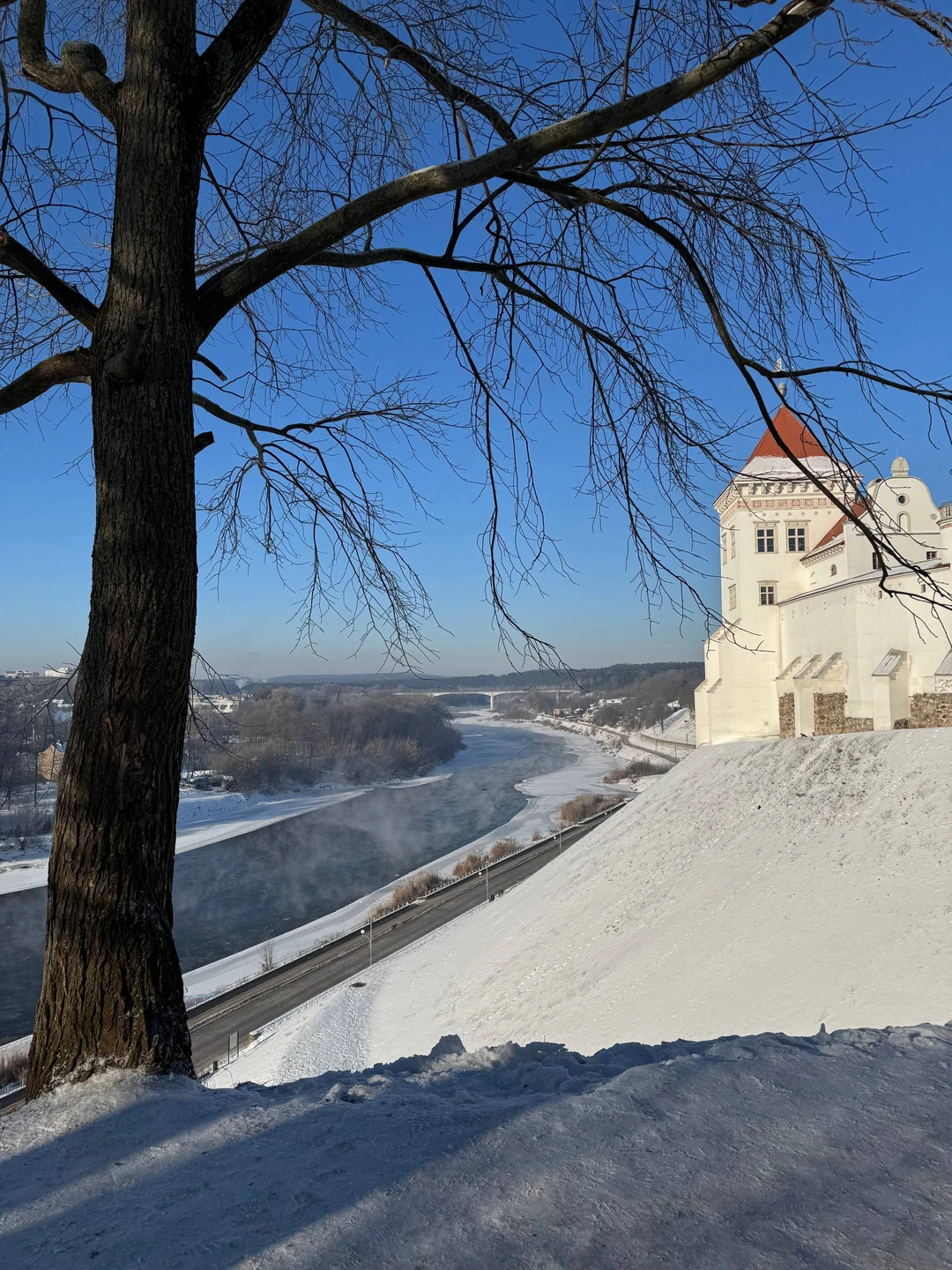 Прекрасный экскурсовод, экскурсия очень понравилась, несмотря на сильный мороз была проведена отлично, информативно, интересно и содержательно!