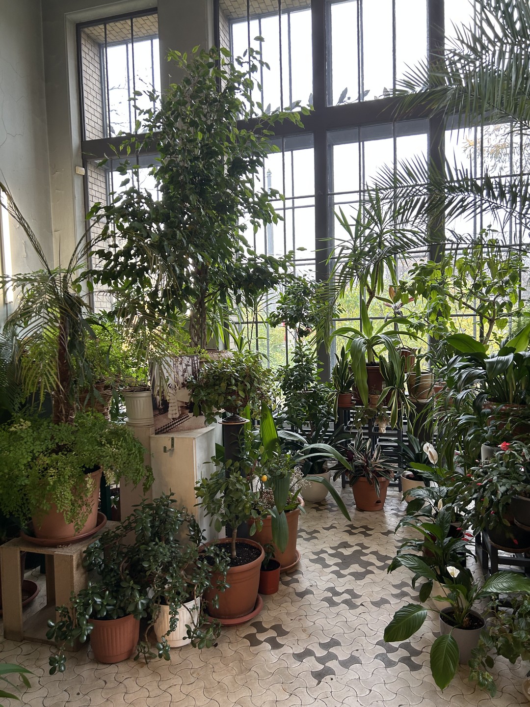 Ну очень интересная экскурсия, порекомендовала всем друзьям