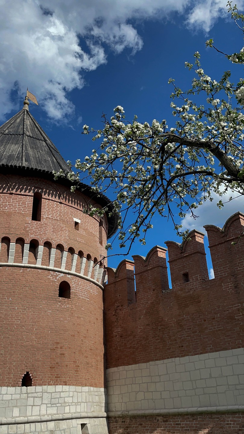 Сборная пешеходная экскурсия по историческому центру Тулы (Ксения)