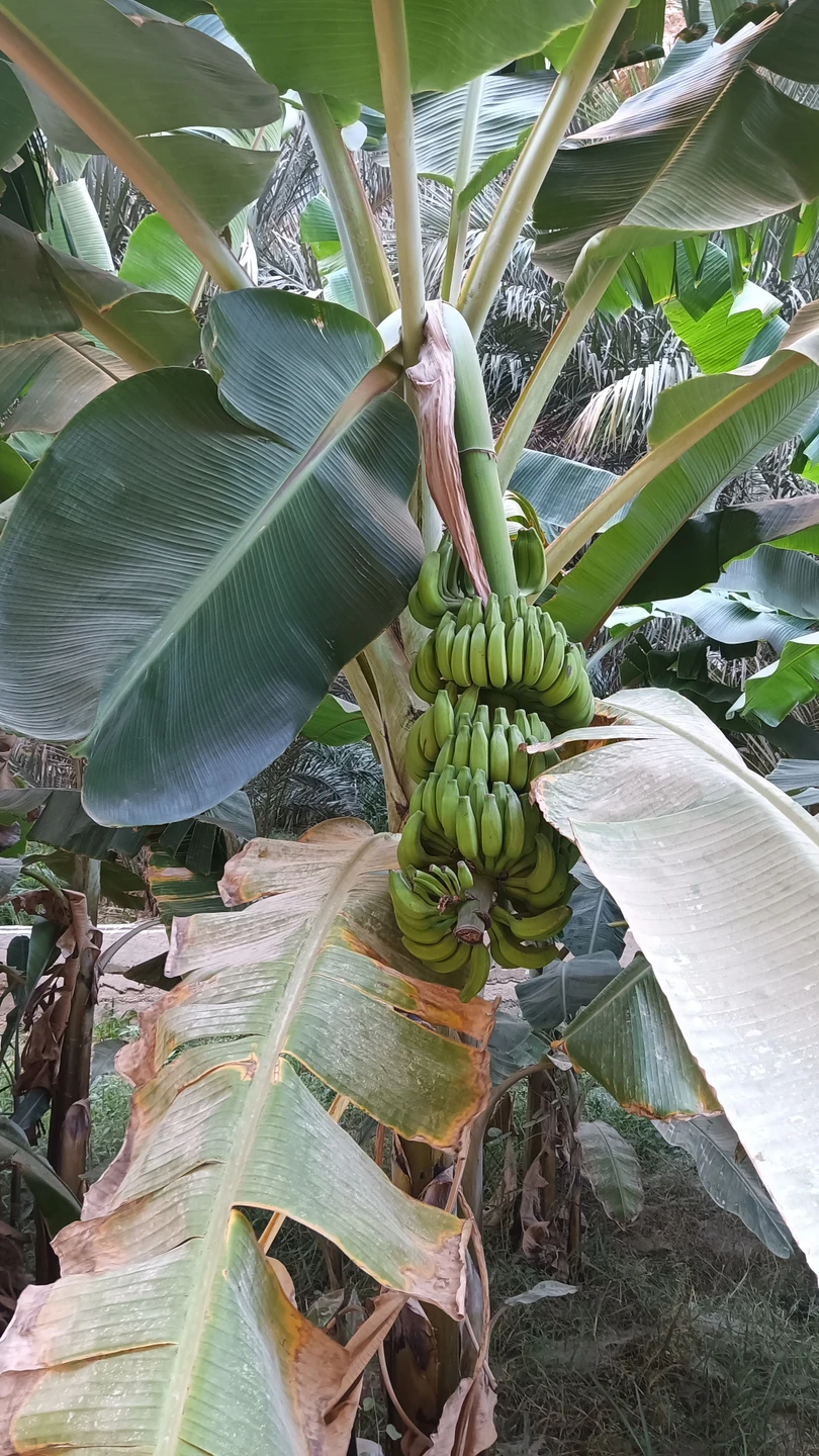 Большое спасибо гиду Марине! Очень интересное путешествие. Уважительное и заботливое отношение к туристам. Узнал много информации