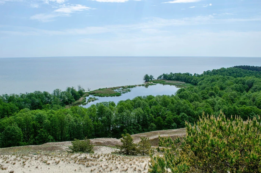 Озеро Лебедь