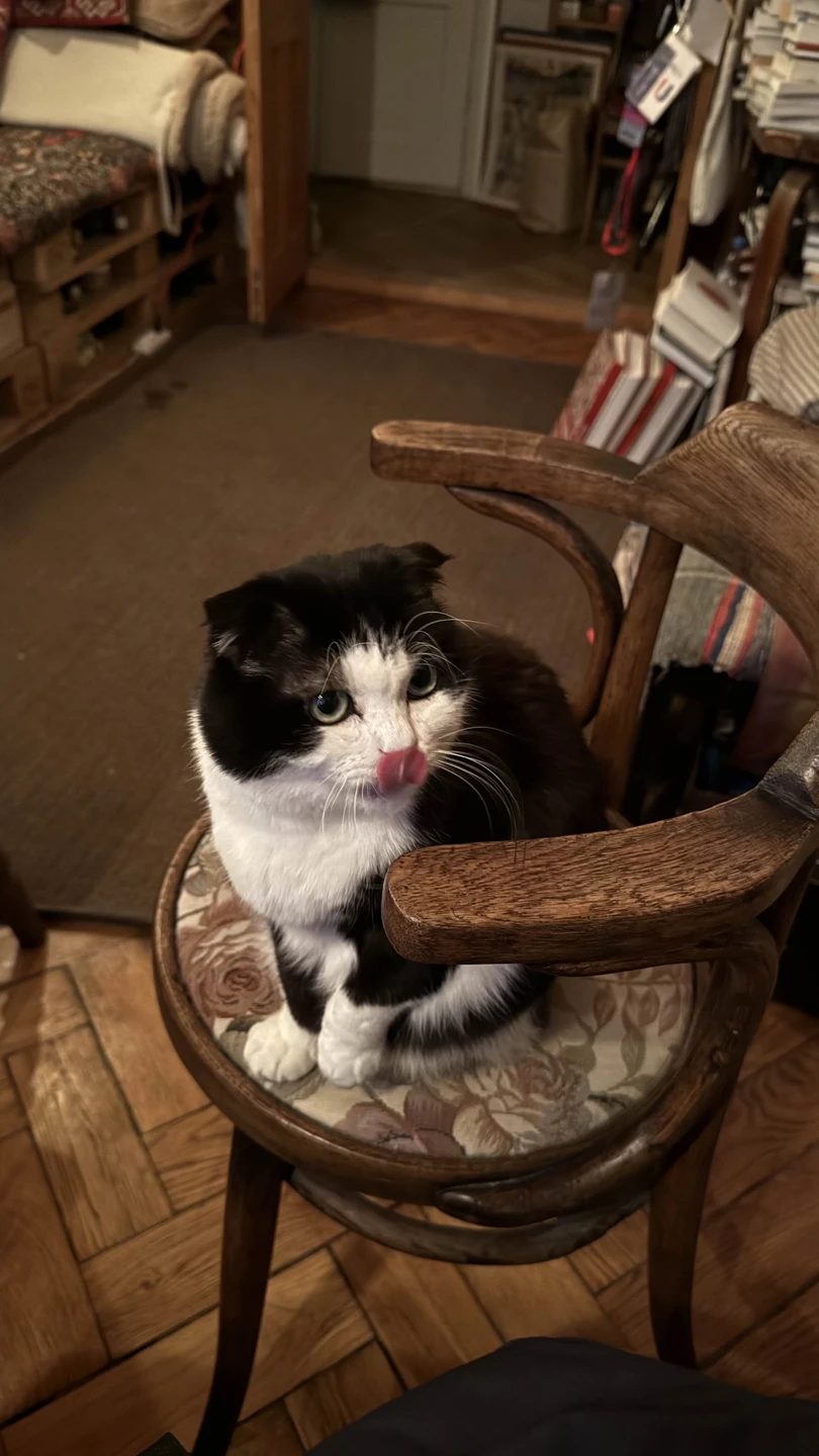 Отличная экскурсия: содержательно, экспертно и обаятельно