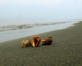 Горная Аджария: водопады, домашний обед и грузинские танцы