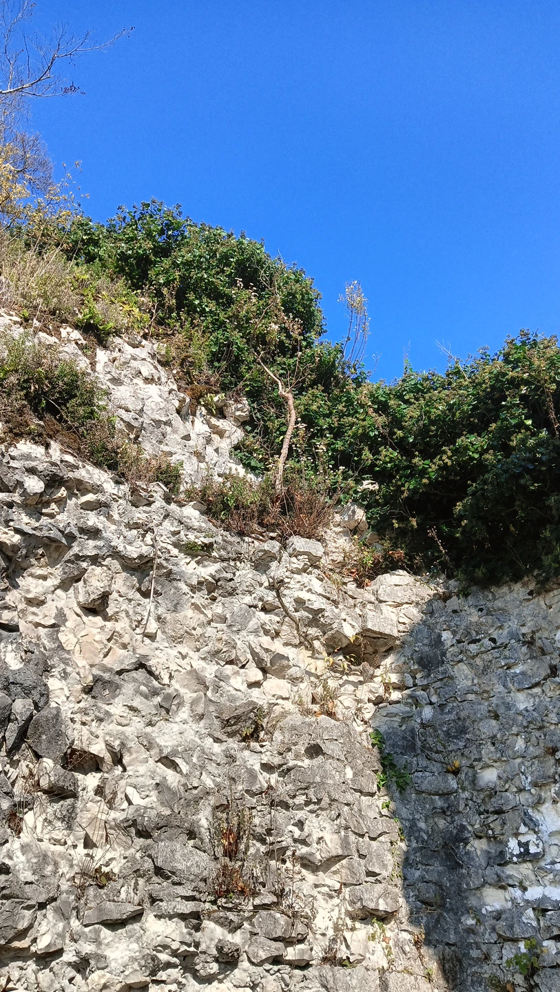 Очень понравилось. Михаил просто великолепно провел экскурсию, с большой любовью к своей Родине