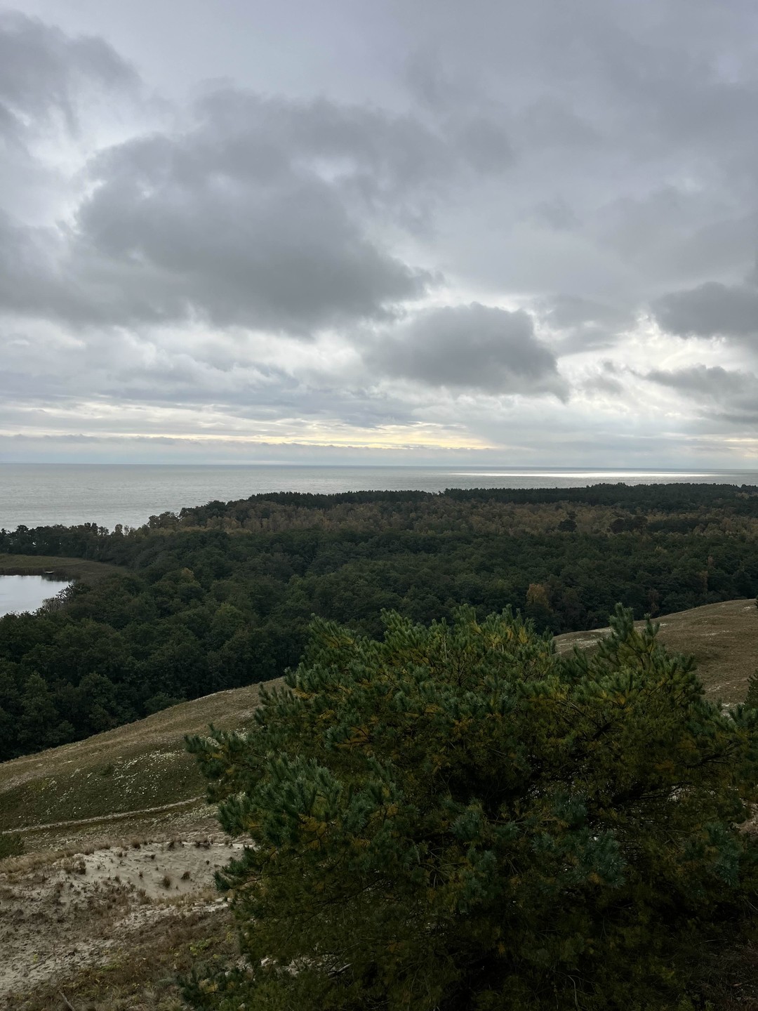 Нус очень обонятельный и открытый человек. Осталось только приятное впечатление от экскурсии. Очень красивые места увидели