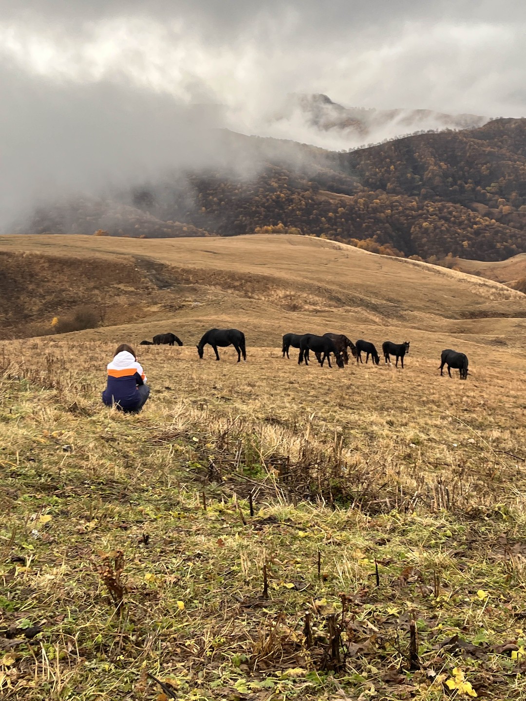 Домбай - место силы. Путешествие в мини-группе (Марина)