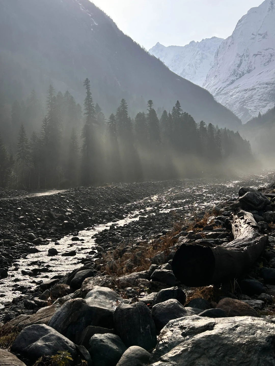 Поездка прошла замечательно! Площадка, организатор, исполнитель - все отработали на отлично!