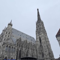 Фото отзыва 3: экскурсия "Личное свидание с Веной"