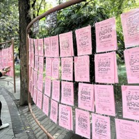 Фото отзыва 2: экскурсия "Город контрастов: Чэнду в ритме традиций и технологий"