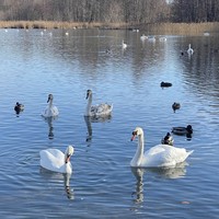 Фото отзыва 8: экскурсия "Дух Древней Руси и былинные пейзажи в Изборске"