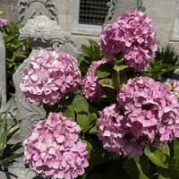 Фото отзыва 1: экскурсия "Исторический центр Стамбула (без очередей)"