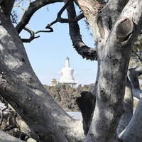 Фото отзыва 1: экскурсия "Пекин классический и современный"