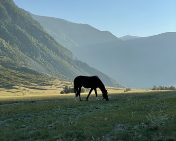 Каменные грибы и отдых в Чулышманской долине
