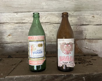 Ведягина Ростань