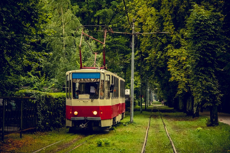 По аллеям Хуфена, или В гостях у Кёнигсберга