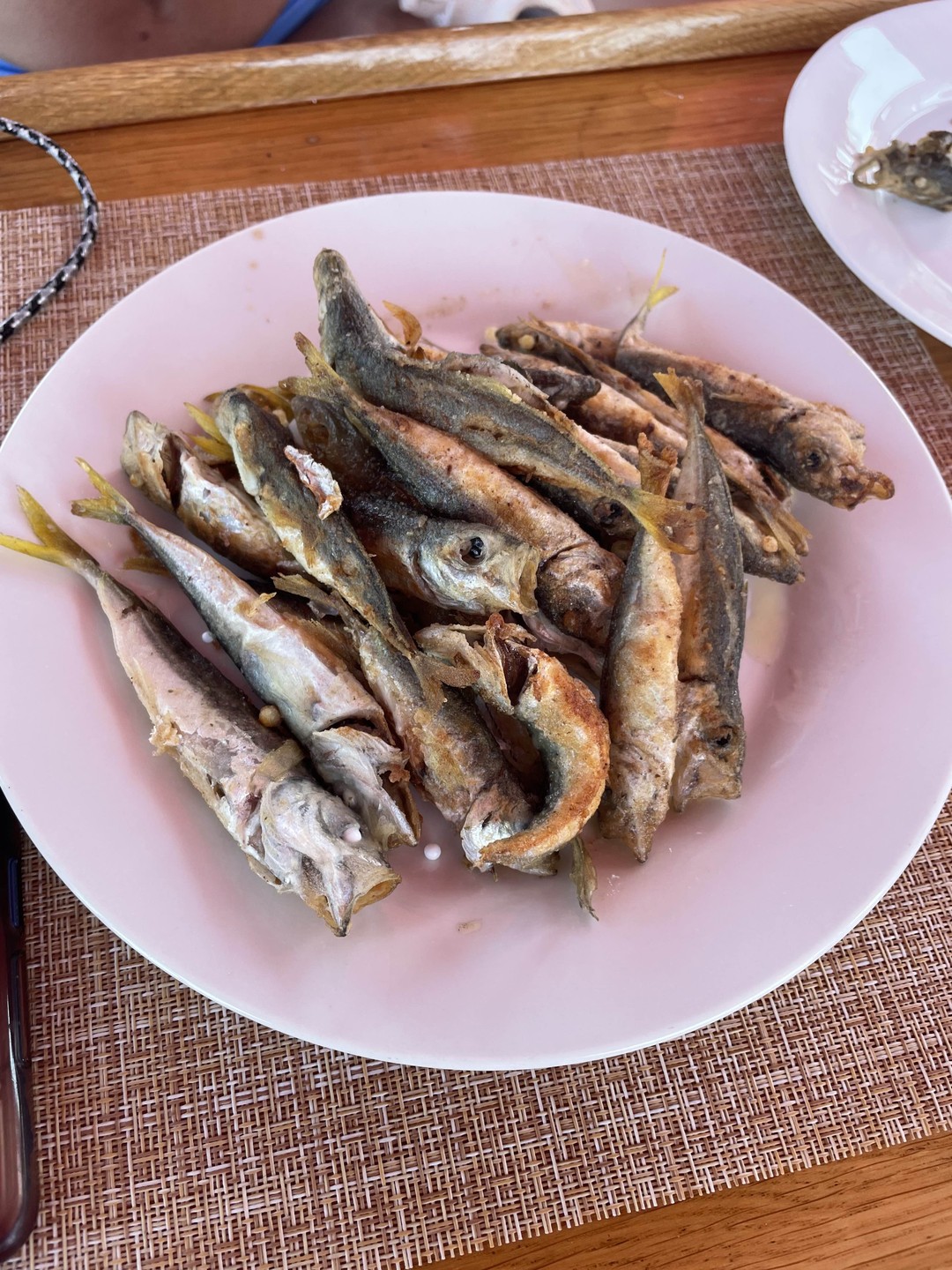 На рыбалку поехала 31 июля. Погода хорошая море чудесное. Искупались. Нас было 11 человек. Но заминка