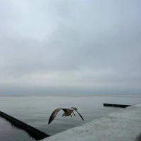 Фото отзыва 2: экскурсия "Выходные в европейском стиле: Калининград, Светлогорск и Зеленоградск"