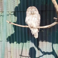 Фото отзыва 2: экскурсия "Экскурсия 3 в 1: сафари-парк + бухты Шамора и Стеклянная"