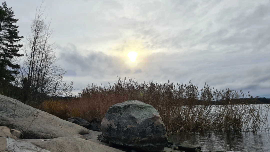 Прекрасная экскурсия! Провели отличный день в обществе Надежды и природы Карелии! Дополнительный плюс – практически полное