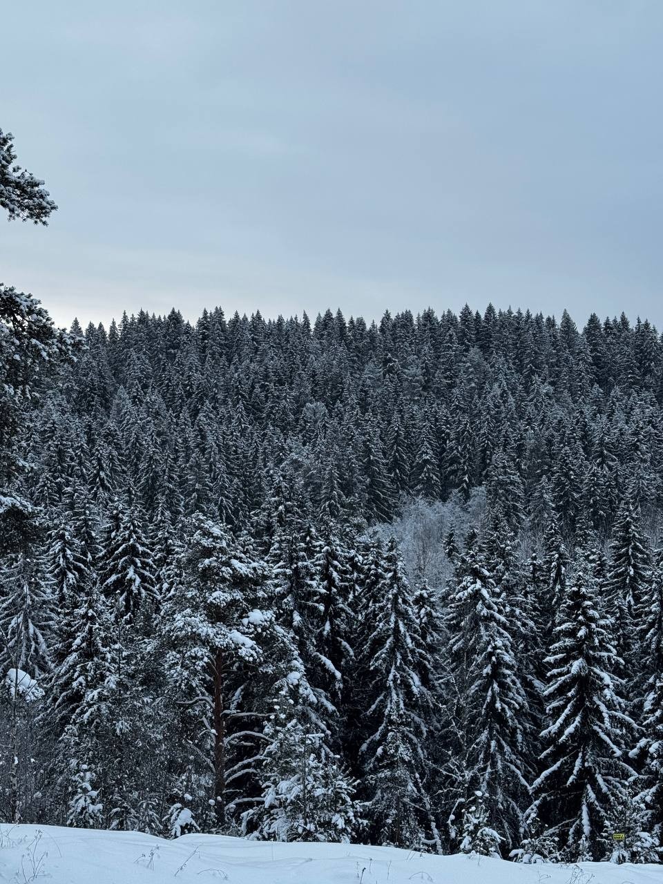 Шикарная экскурсия с Евгением