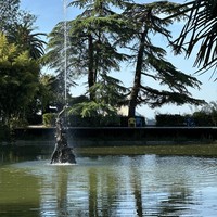 Фото отзыва 1: экскурсия "Гагра, Рица, Новый Афон: групповая поездка из Сочи"