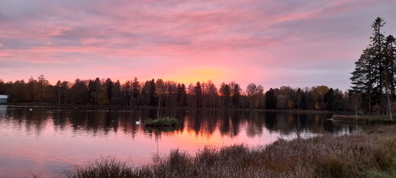 Виды Все парки и замки Гатчины за один день