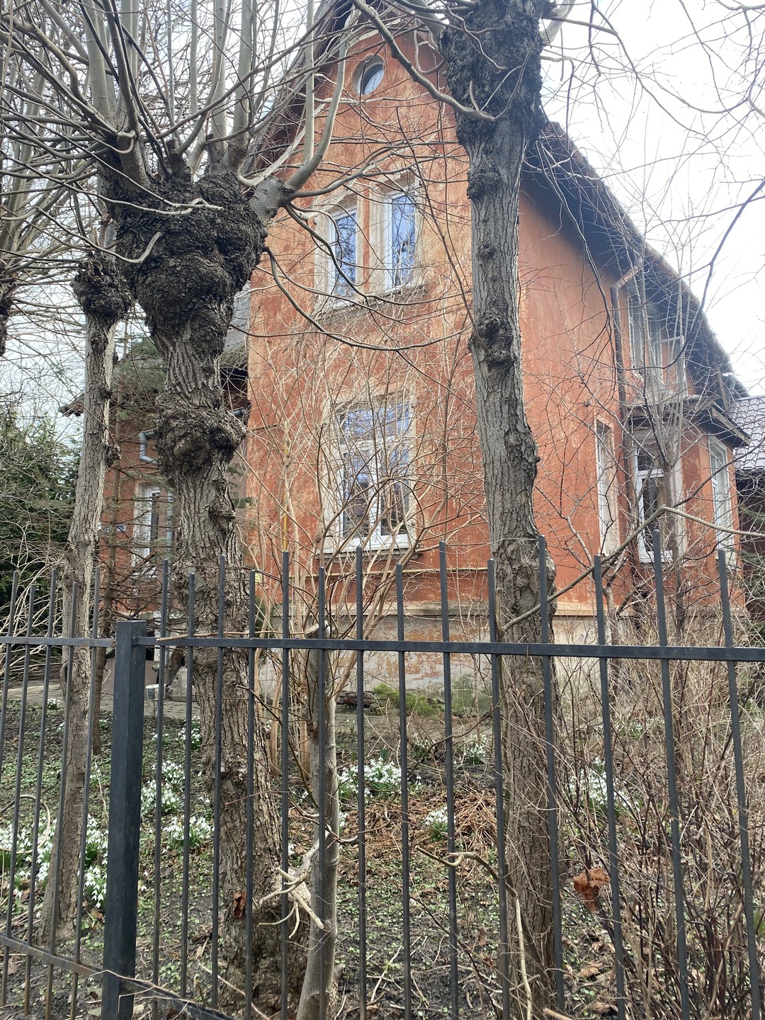 Амалиенау в деталях и историях (Наталья)