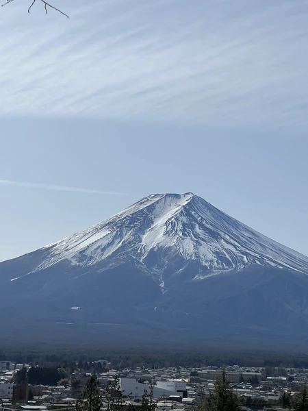 Дорога из Токио к подножию Фудзи заняла примерно 2.5 часа. Александр - прекрасный гид и водитель