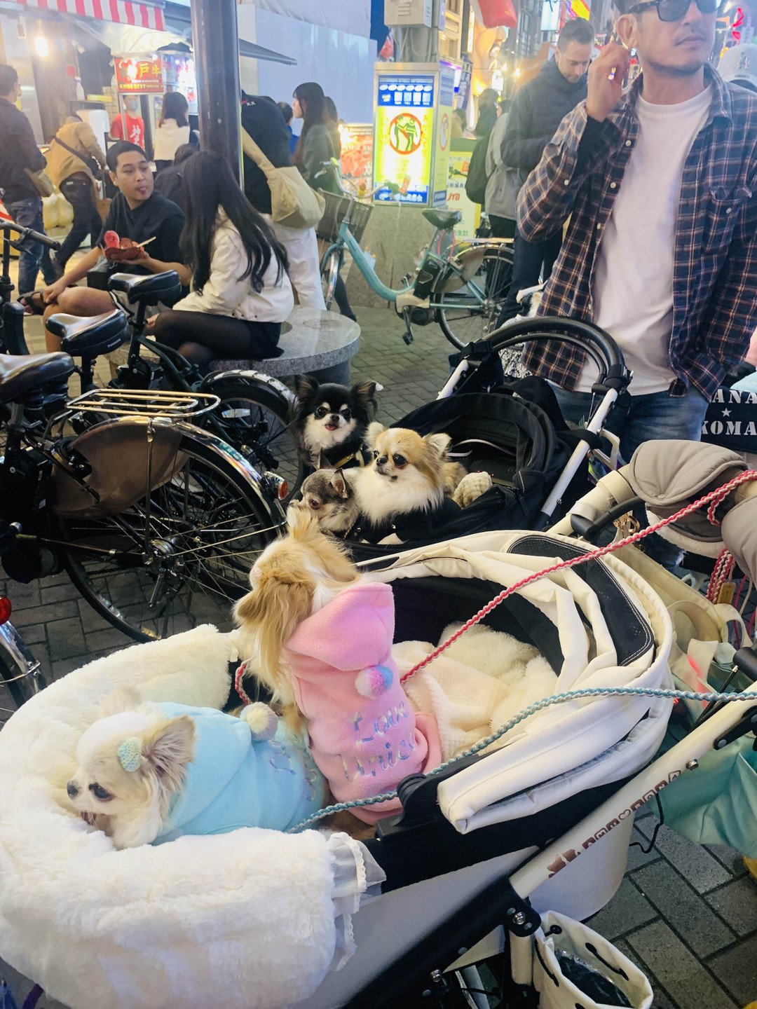 Это не экскурсия, это путешествие, которое останется с нами навсегда! По нашей просьбе, Иван смог скорректировать